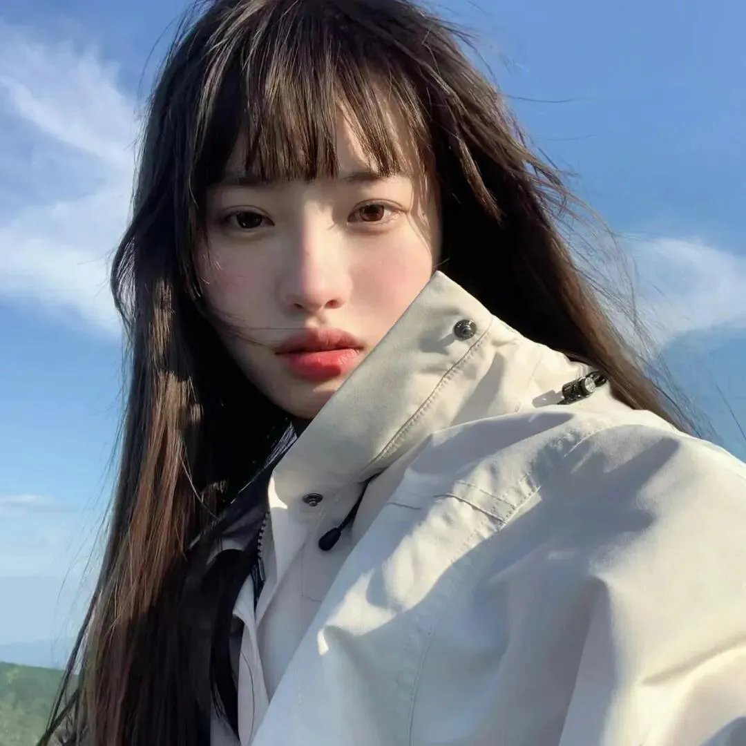 我的朋友是萌鲨